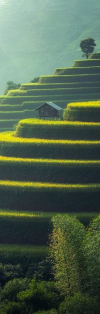 agricultural-agriculture-cropland-247599 agricultural-agriculture-cropland-247599